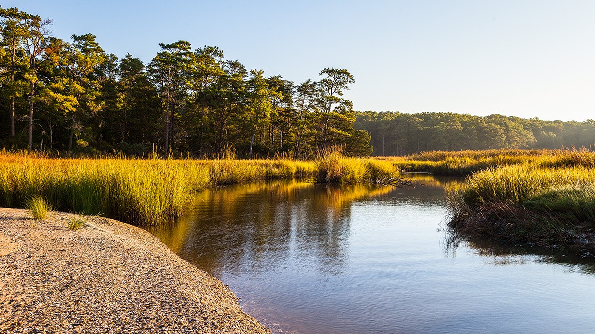 Carter’s Grove Plantation TCLF